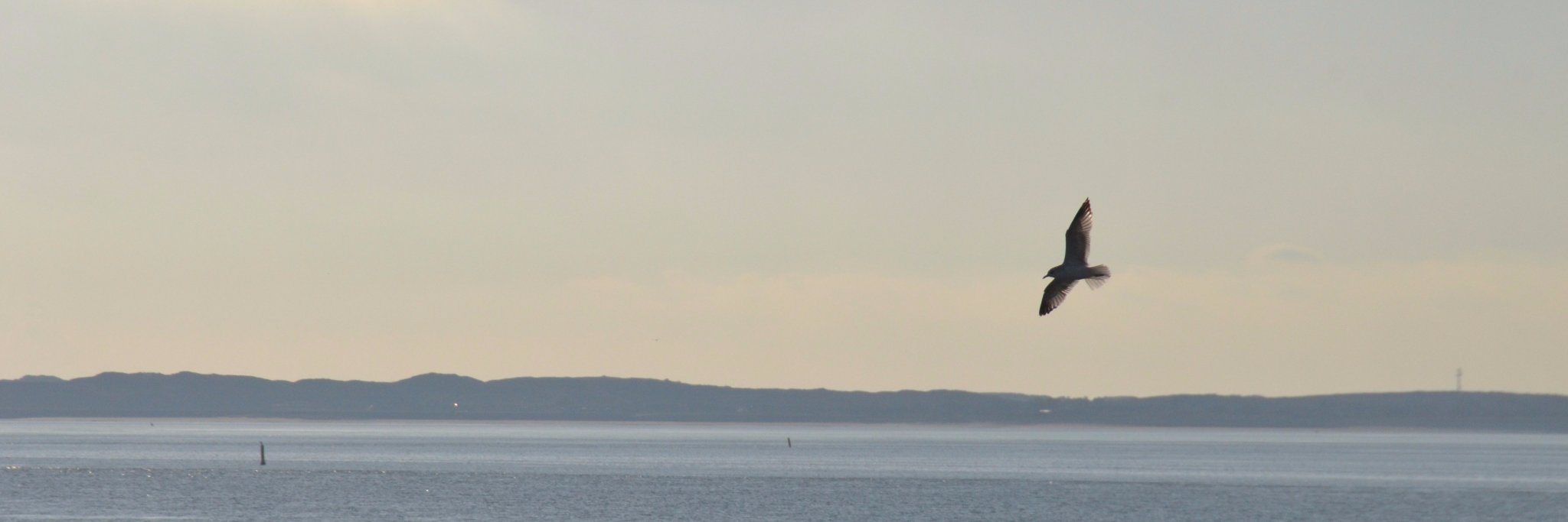 JumadisW's profile banner image