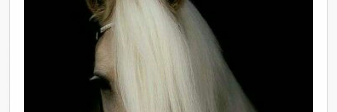 hmod12518's profile banner image