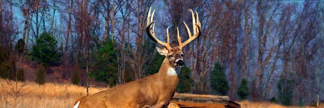 YountoHunt's profile banner image