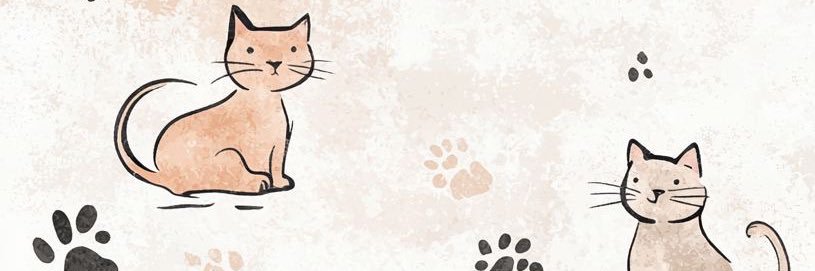 Nisweee's profile banner image