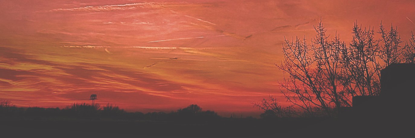 Lex_Strider's profile banner image