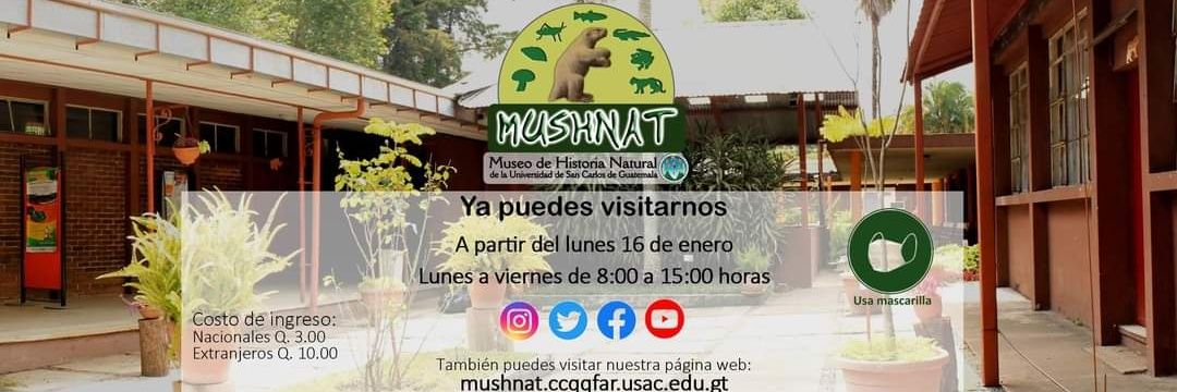 mushnatUsac's profile banner image