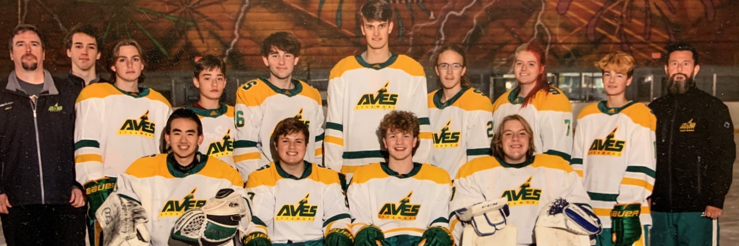 Sycamore Hockey (@AvesHockey) / Posts / X