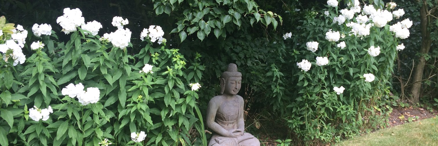 CreativeGardens's profile banner image