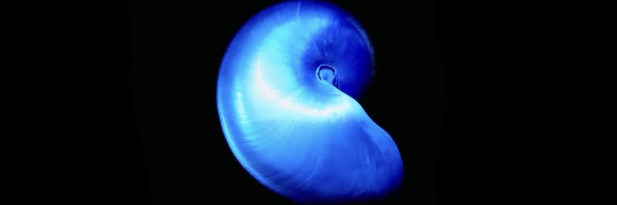 420WARHOL's profile banner image
