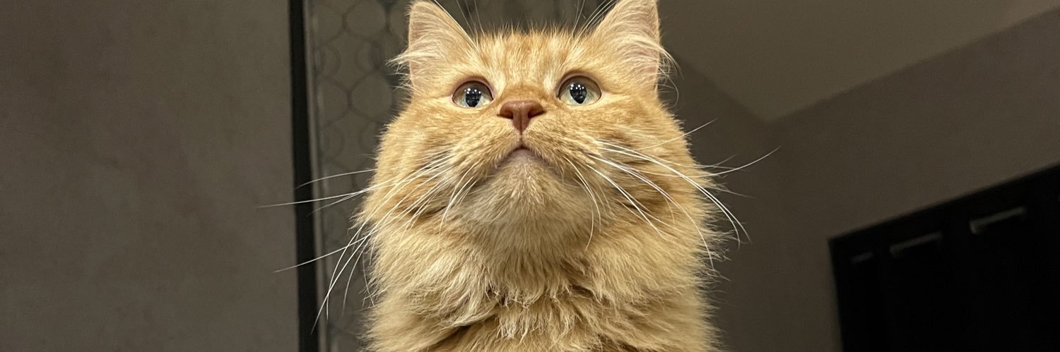 jonathan perra 🇫🇷 #PIC banner