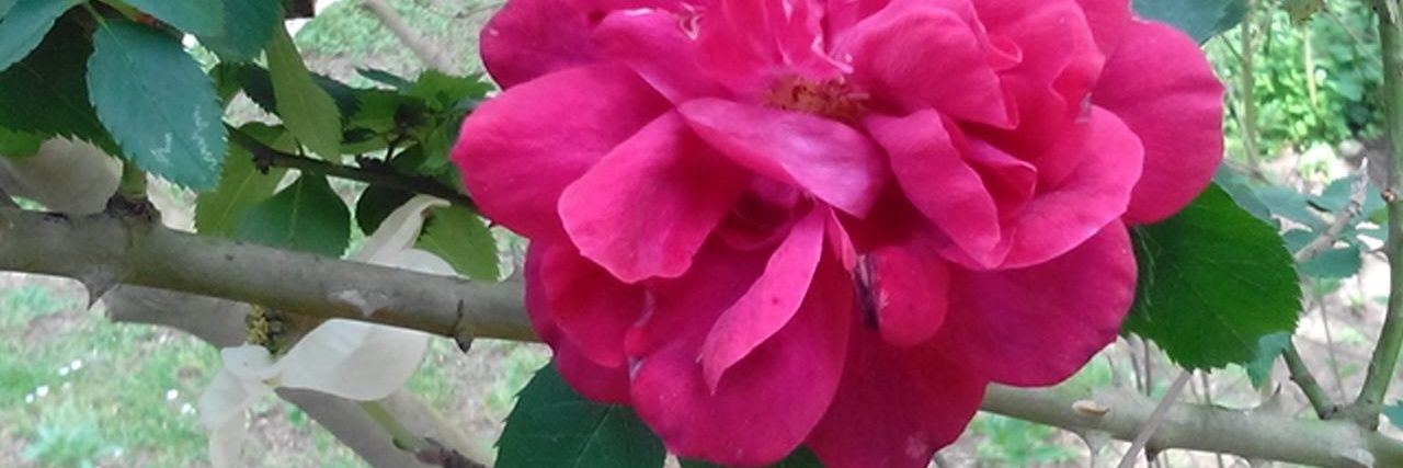 df65f0633ea646c's profile banner image