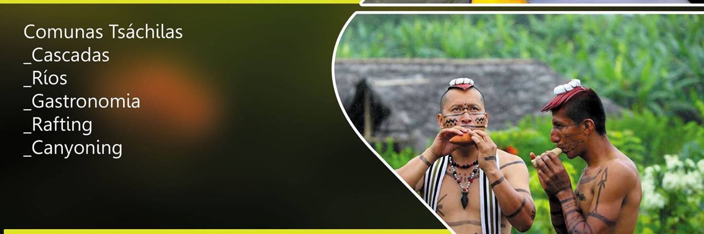 lizardosuarez's profile banner image