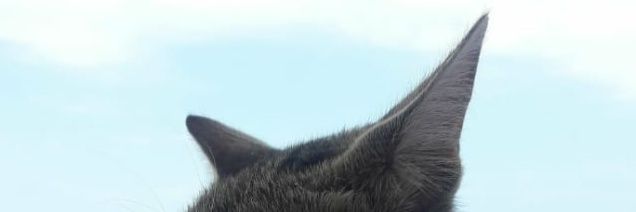 nurlatifoglu's profile banner image