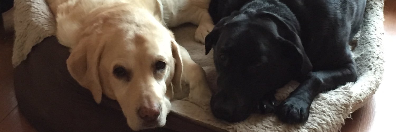 Robert Hannah banner