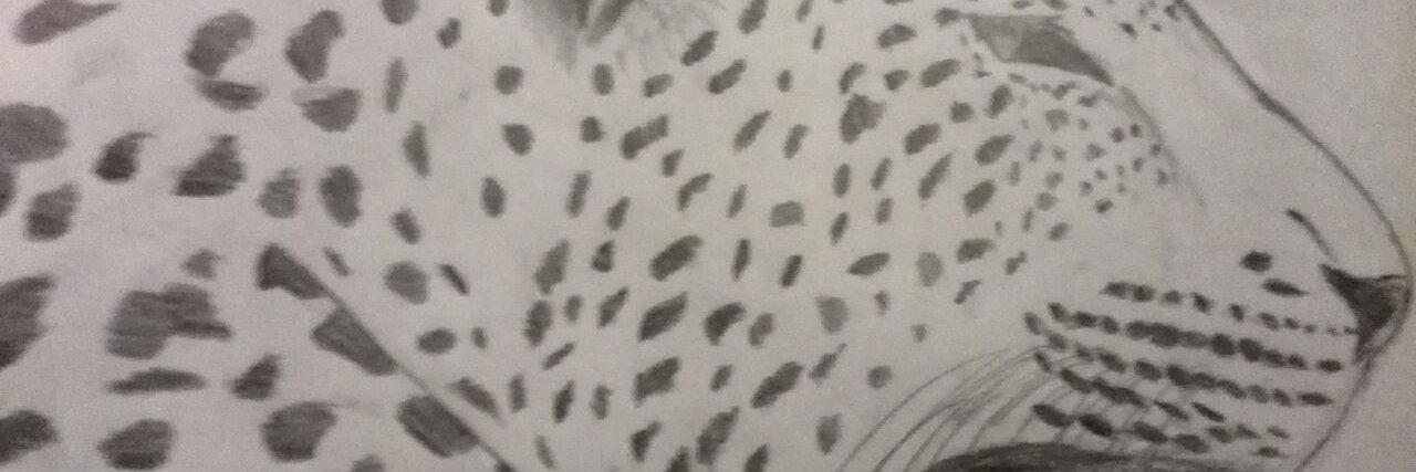 spot30001's profile banner image