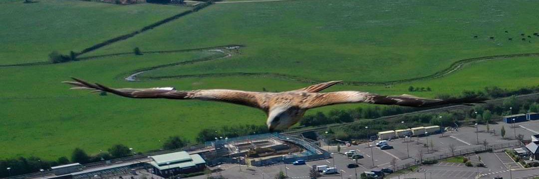 Richard Crouch (DronePix) banner