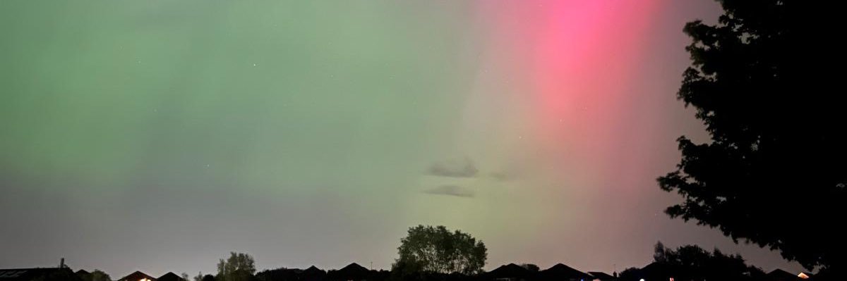 campergirl 🌿 🐶 🆗 banner