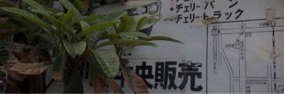 jasidgdrs's profile banner image