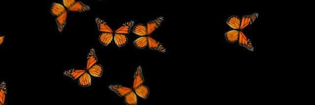 __Odwaaa_'s profile banner image