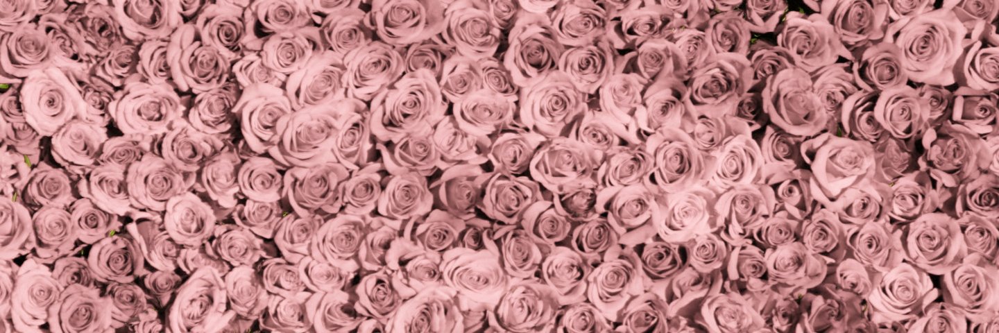 CharmPia06's profile banner image