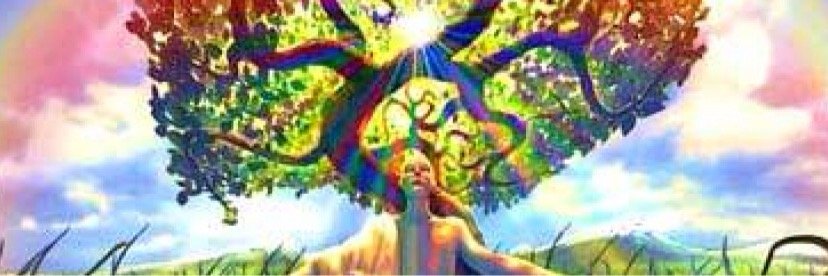 PeaceLoud's profile banner image