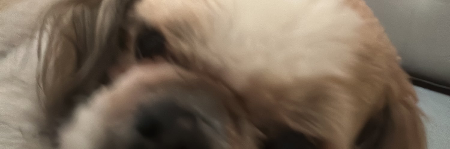 isabelacgf's profile banner image