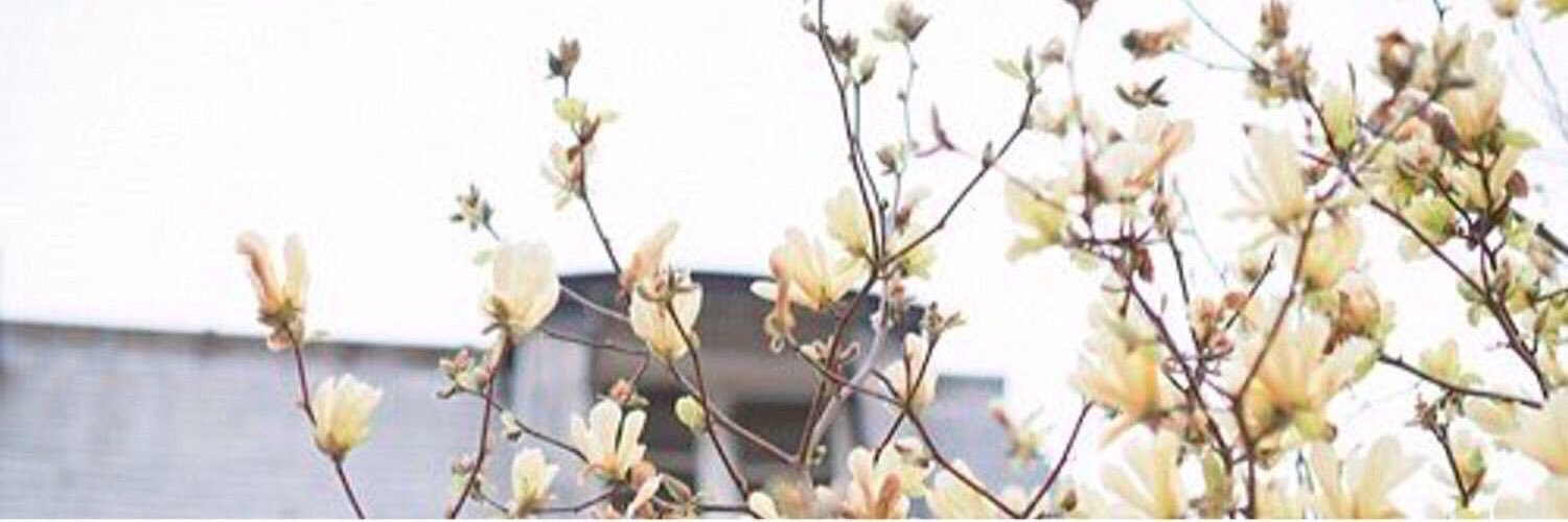 ga322's profile banner image