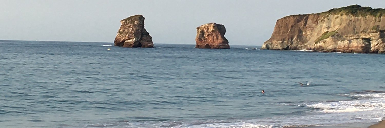 Elodie Blaquières | lodiloee.bsky.social banner