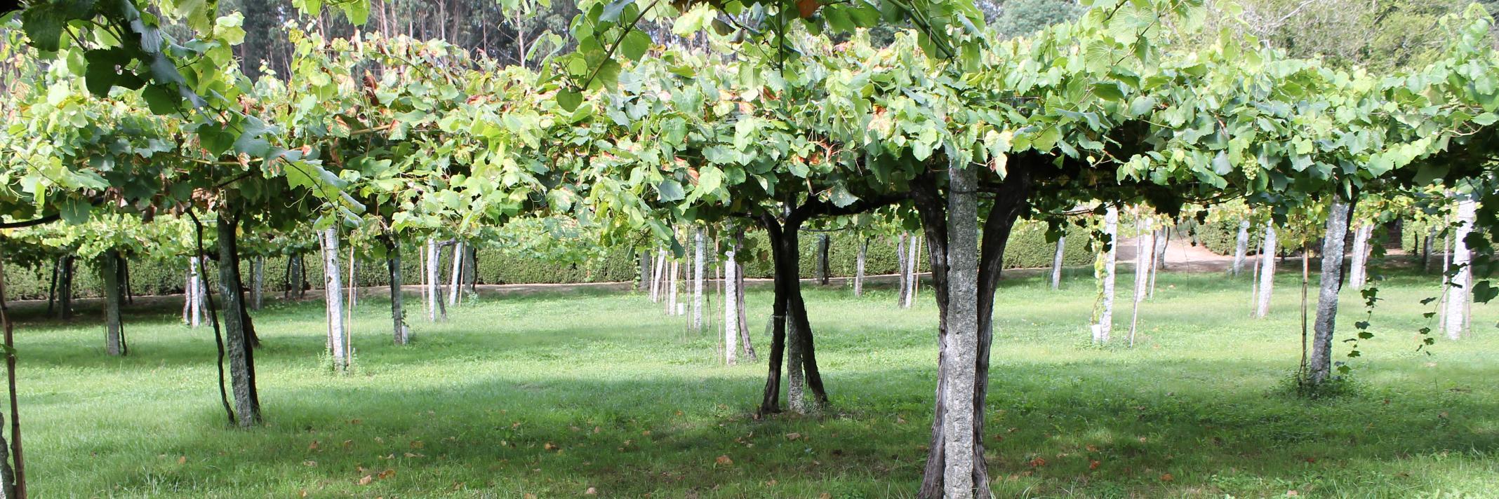 AtlanticDiet's profile banner image
