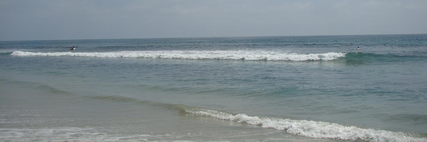IngridRicke's profile banner image