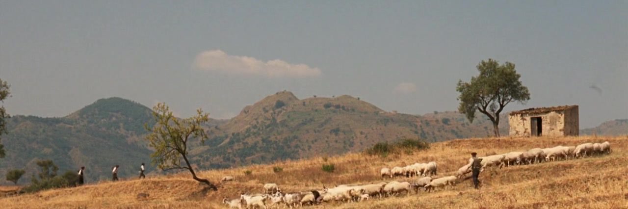 MeteSevincli's profile banner image