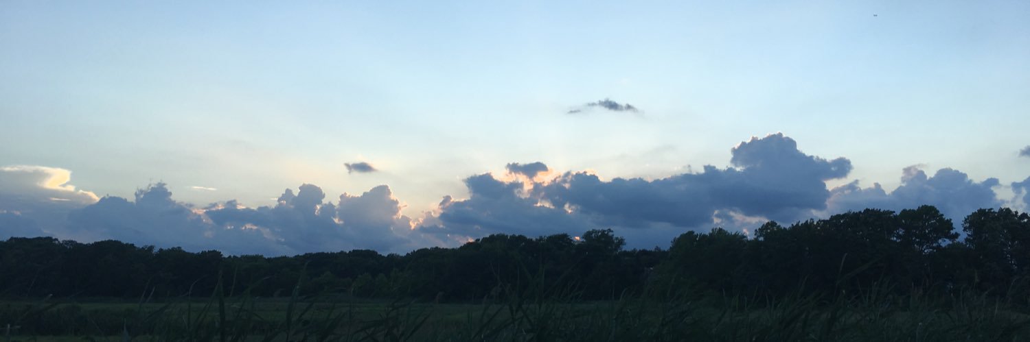 Jadyn Rizzo banner