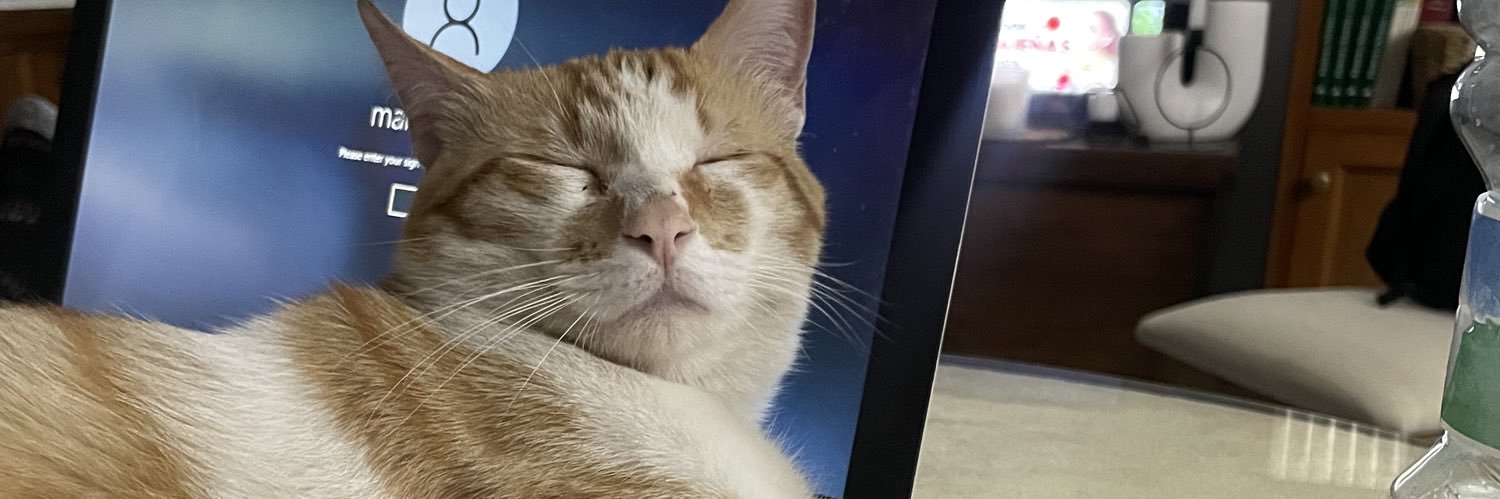 mrtcrd_'s profile banner image