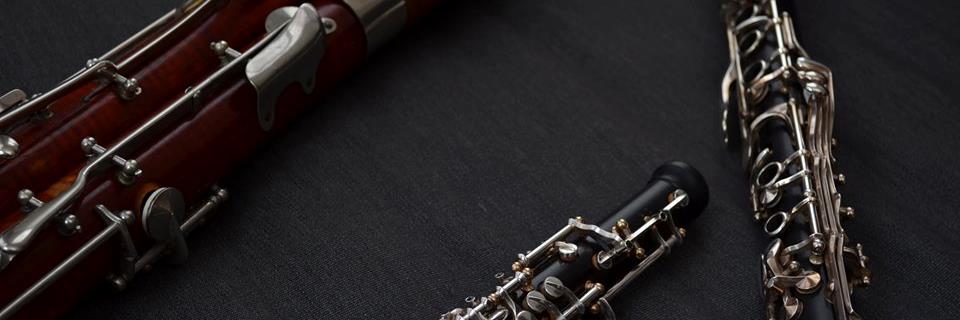 Tempest_Winds's profile banner image