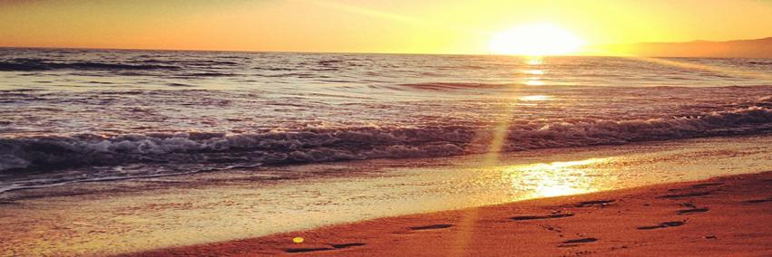 cherylhendrey's profile banner image