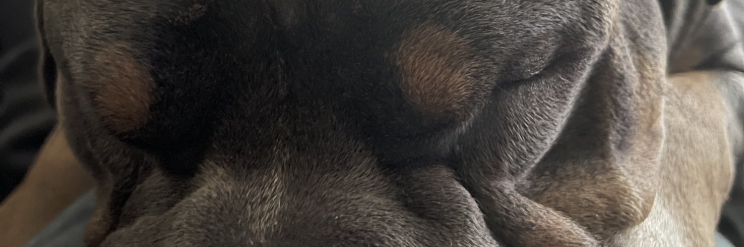 LegendOfLifeTK's profile banner image