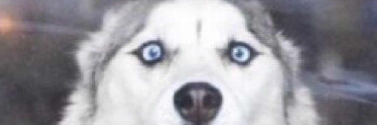BennyP1313's profile banner image