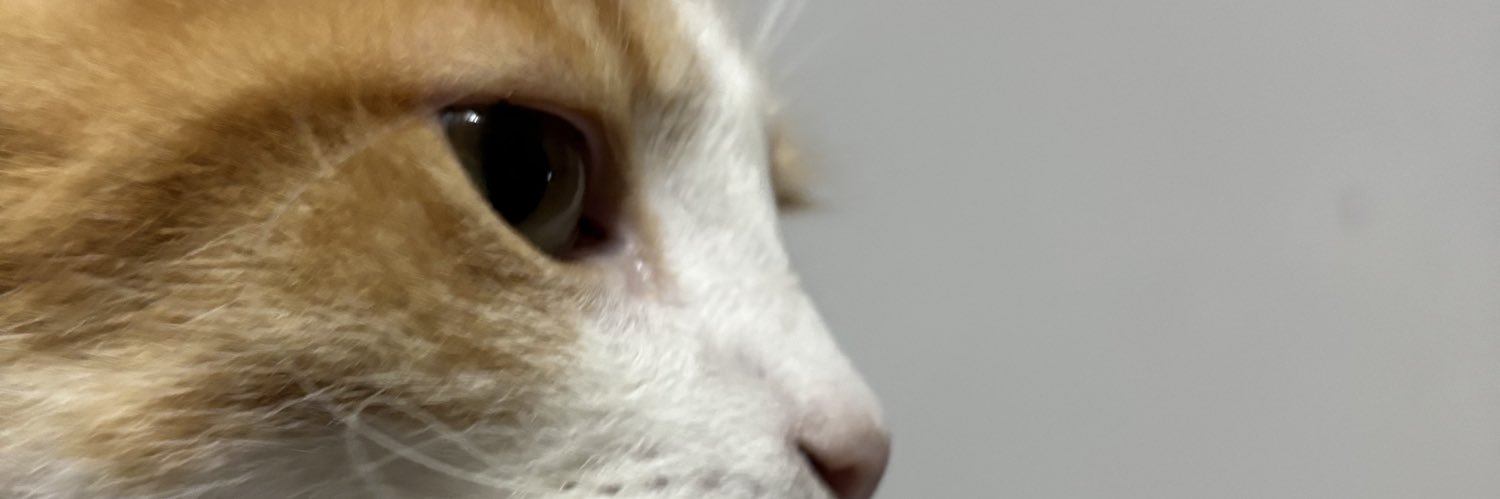 gabiperes_'s profile banner image
