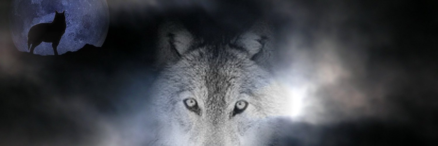 to94006's profile banner image