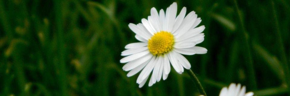 SA_4_GRVT's profile banner image