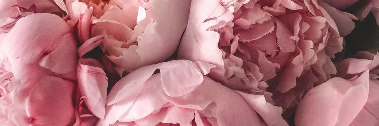 ymrbugu's profile banner image