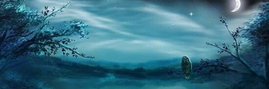 trisiarc's profile banner image