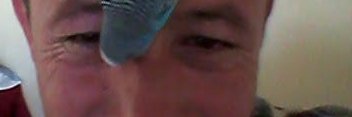CetinogluMan's profile banner image