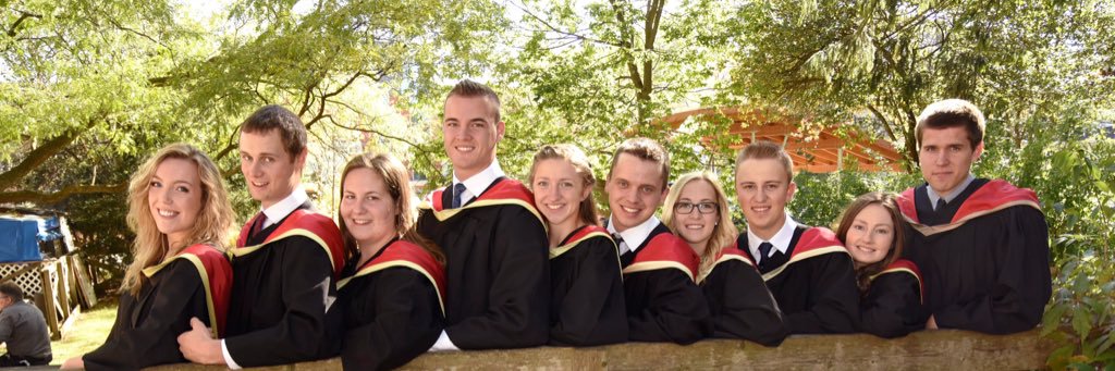 Caleigh Slits banner