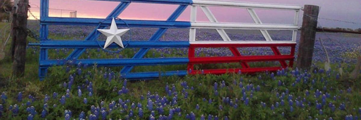 vhenson's profile banner image