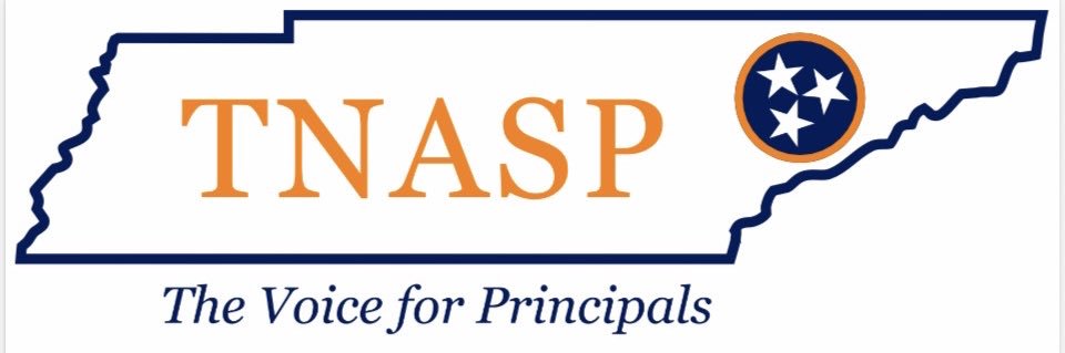 TNASP3's profile banner image