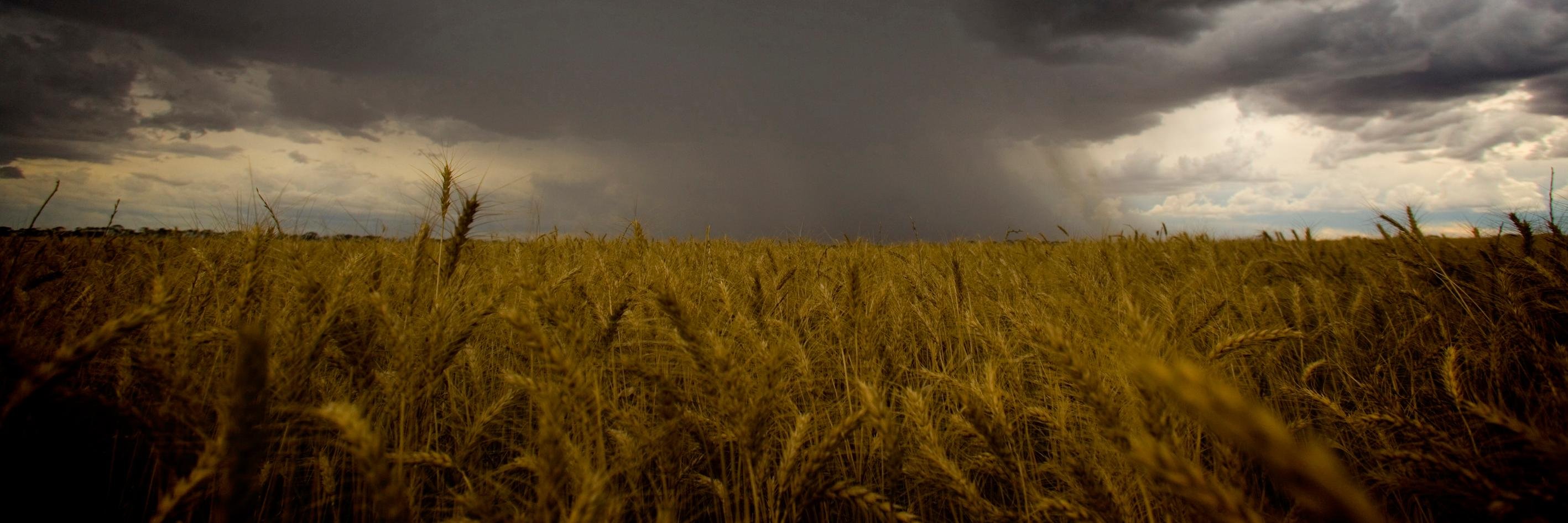 PeterRoberts_WA's profile banner image