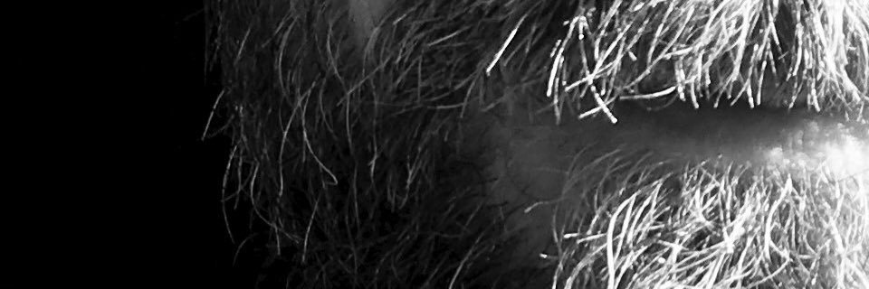 catenacci's profile banner image