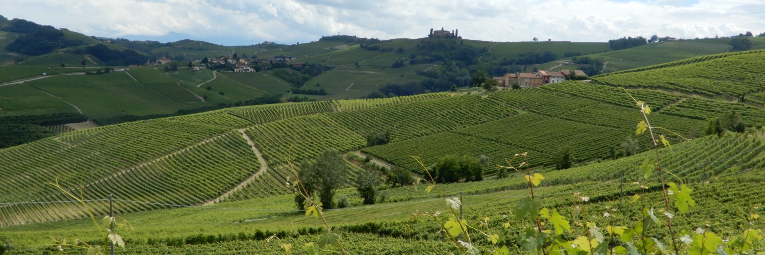 winetourer's profile banner image