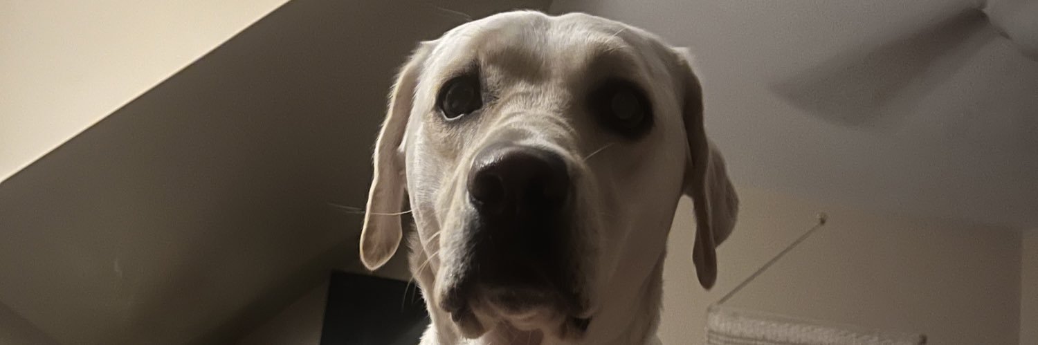 carleeallard's profile banner image