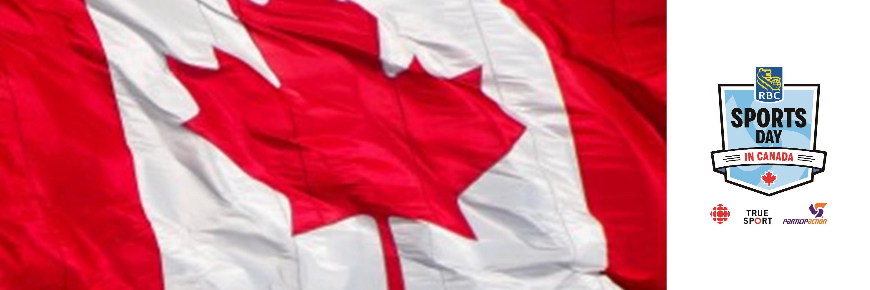BramptonSDiC's profile banner image