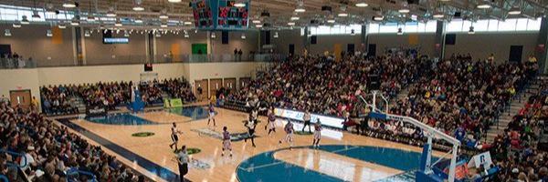 FightingOwlsMBB Profile Banner