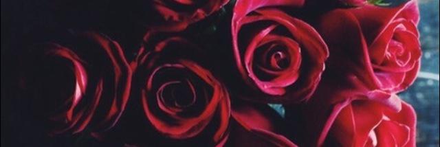 dinaokvi's profile banner image