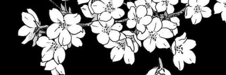 capkidd_'s profile banner image